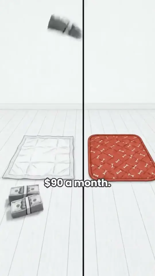 Concept Animated ad